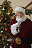 Santa Claus for hire Georgia